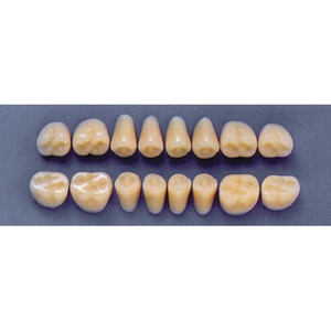 ULTRADENT POST. 31Z/A2 UPPER (1x8 CARD) Card