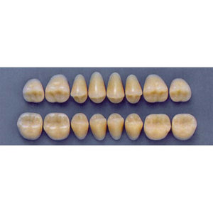 ULTRADENT POST. 32F/81 UPPER (1x8 CARD) Card