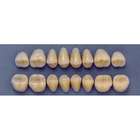 ULTRADENT POST. 32F/A2 UPPER (1x8 CARD) Card