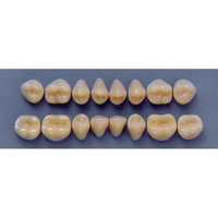ULTRADENT POST 32M/65 LOWER (1x8 CARD) Card