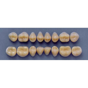 ULTRADENT POST 32M/A2 UPPER (1x8 CARD) Card