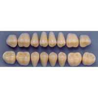ULTRADENT POST. 33L/59 LOWER (1x8 CARD) Card