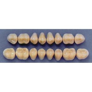 ULTRADENT POST. 33M/A3 UPPER (1x8 CARD) Card