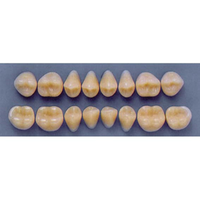 ULTRADENT POST 34M/69 LOWER (1x8 CARD) Card