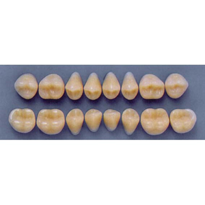 ULTRADENT POST 34M/67 UPPER (1x8 CARD) Card