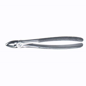 English 1, Screw Joint, Upper Central & Canine Each