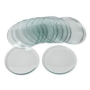 Livingstone Watch Glass, 200mm Diameter, Each Each
