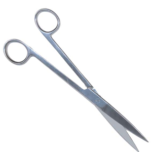 Livingstone Surgical Scissors