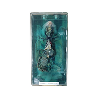 Dissection of Rabbit, Each Each